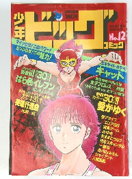 少年ビッグコミック No.12