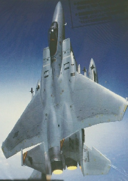 HASEGAWA CATALOGUE 1991