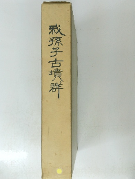 秋孫子古墳群