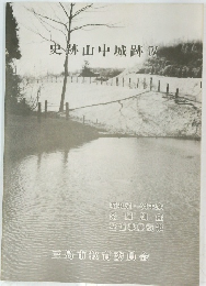 史跡山中城跡　IV