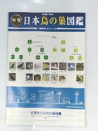 実物日本鳥の巣図鑑　 Osaka Museum of Natural History jus bucephalus 2003