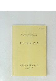 数学史の研究　