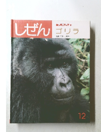キンダーブック3　しぜん　ゴリラ　12