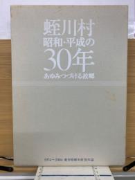 蛭川村昭和・平成の30年 : あゆみつづける故郷