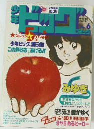 少年ビッグコミック　6　昭和59年3月23日発行