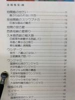 沖縄のまつり
