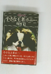 小さな王者ポニー