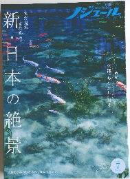 ノジュール　新・日本の絶景　2020年7月号　Vol.165