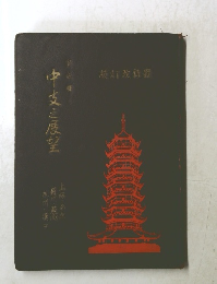中文之展望