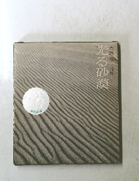 光る砂漠詩集