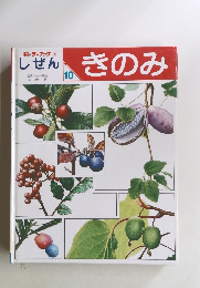 キンダーブック 3 しぜん10　きのみ