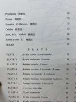 東南アジア島嶼の蝶 : 図鑑