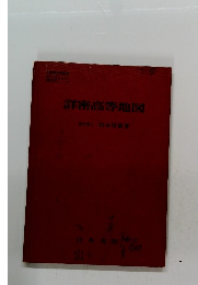 詳密高等地図