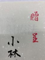 なおさん枝川注射療法 : 体壁医学の臨床応用
