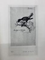 パウル・クレー画集