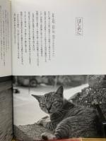 志摩の猫