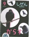 キンダーブック　しぜん　9　からす