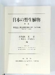 日本の野生植物　木本