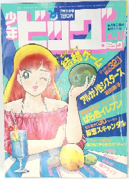 少年ビッグコミック No 13