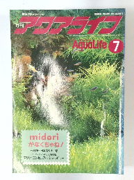 ディテール  1978年7月号