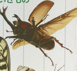 こどものずかん　2ちいさないきもの