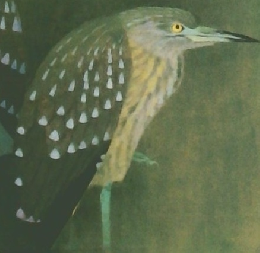 花鳥画の世界上村松篁・淳之展