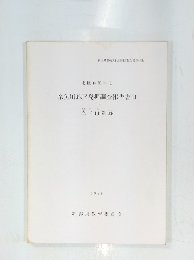 糸魚川地区発掘調査報告書Ⅲ