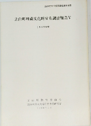 立山町埋蔵文化財分布調査報告V 1989年度