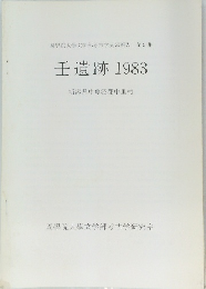 壬遺跡1983