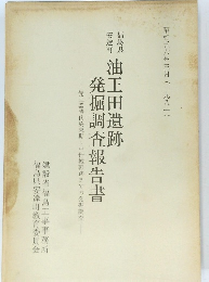 油王田遺跡 発掘調査報告書