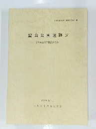 聖山公園遺跡　IV