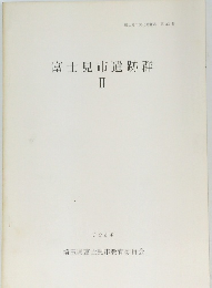 富士見市遺跡群２