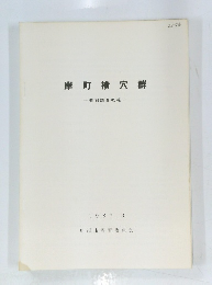 岸町横穴群一発掘調査概報-