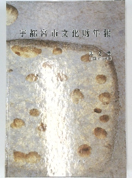 宇都宮市文化財年報2