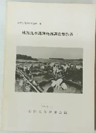 座散乱木遺跡発掘調査報告書I