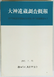 大神遠蔵調査概報　1982年3/20号