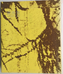 謝肉祭　山本美代子詩集