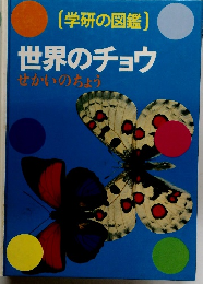 学研の図鑑　世界のチョウ