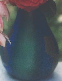 nikkor club　161号　 1997年夏号　