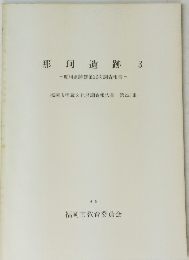 那珂遺跡3　　1991