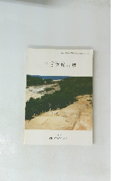 三苫京塚古墳　1991年