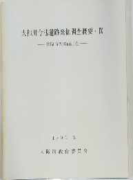 大和川今池遺跡発掘調査概要IX　1992年3月号