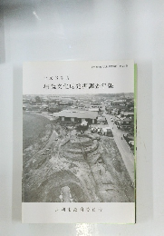 平成3年度埋蔵文化財発掘調査年報