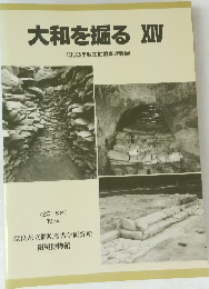 大和を掘る XIV