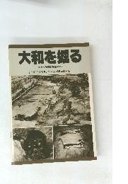 大和を掘る 1990年度発掘調査速報展11