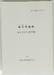 西大作遺跡　1993年