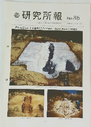 研究所報　No.86　平成12年5/25号