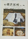 研究所報　No.86　平成12年5/25号