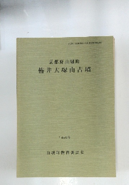 京都府山城町椿井大塚山古墳 1986