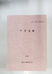 中谷遺跡　1989年